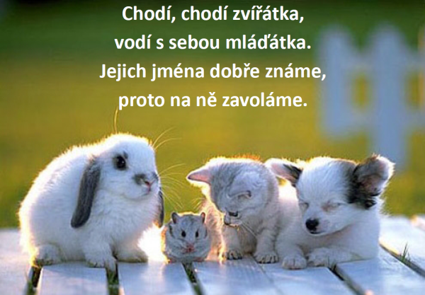 zviratka