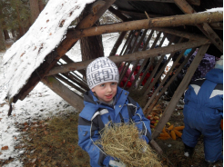 SDC11201.JPG