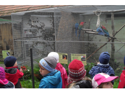 zoo-dvorec.jpg